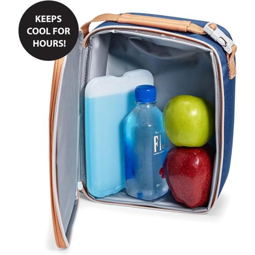 Cool Coolers by Fit & Fresh 4 Pack XL Slim Ice Packs, Quick  Ice Packs